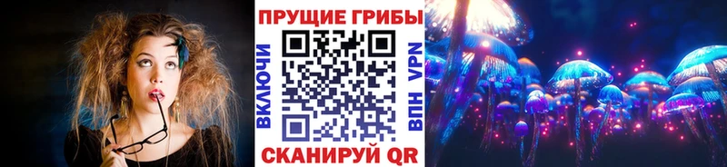 мега   Керчь  Галлюциногенные грибы мицелий  купить  